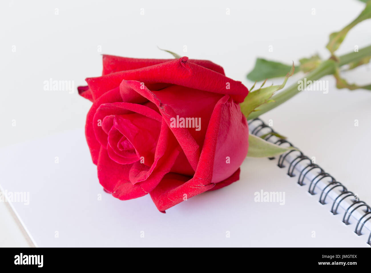 Beautiful red rose notebook hi-res stock photography and images - Alamy