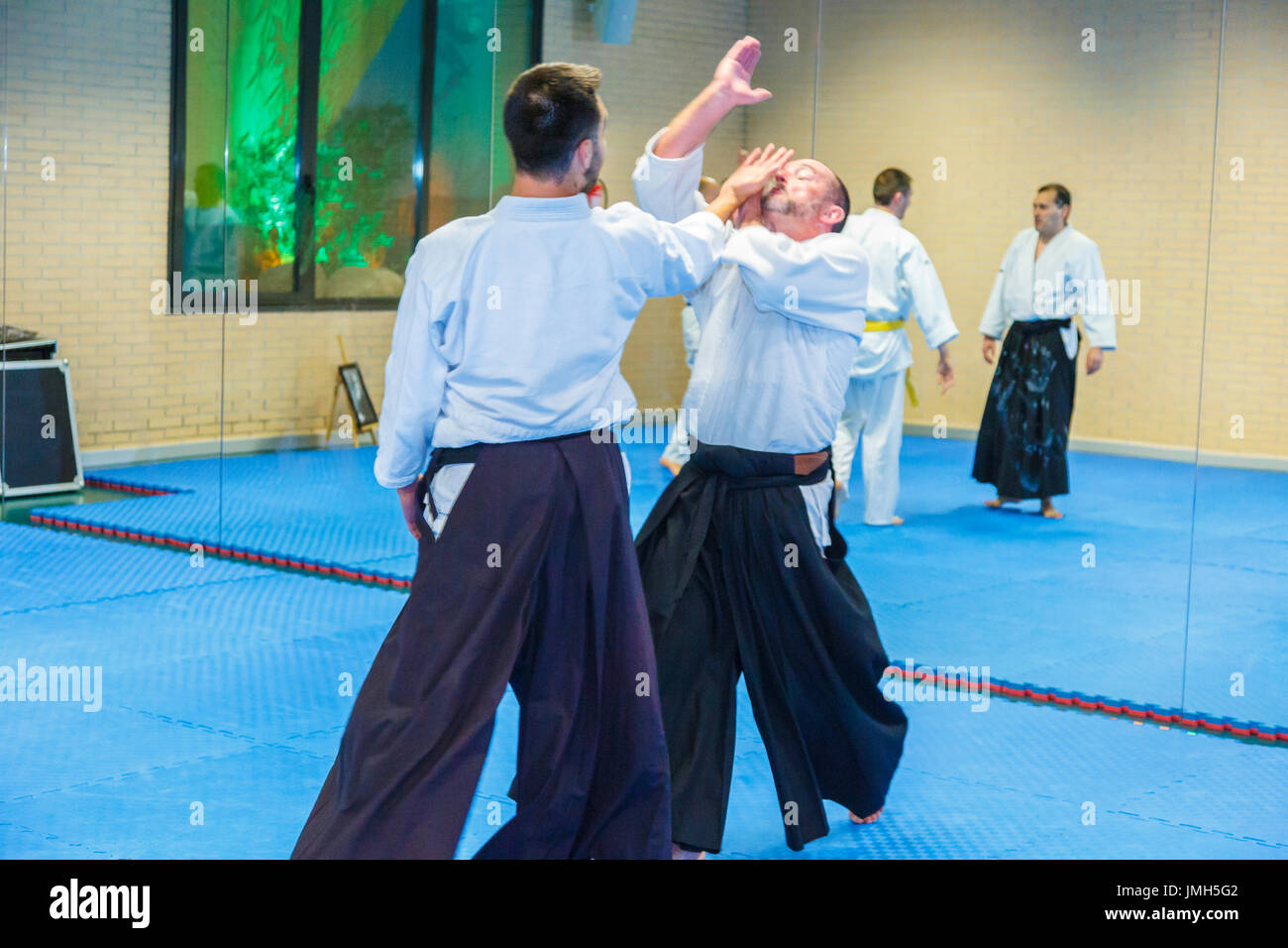 Aikido martial art school Stock Photo Alamy