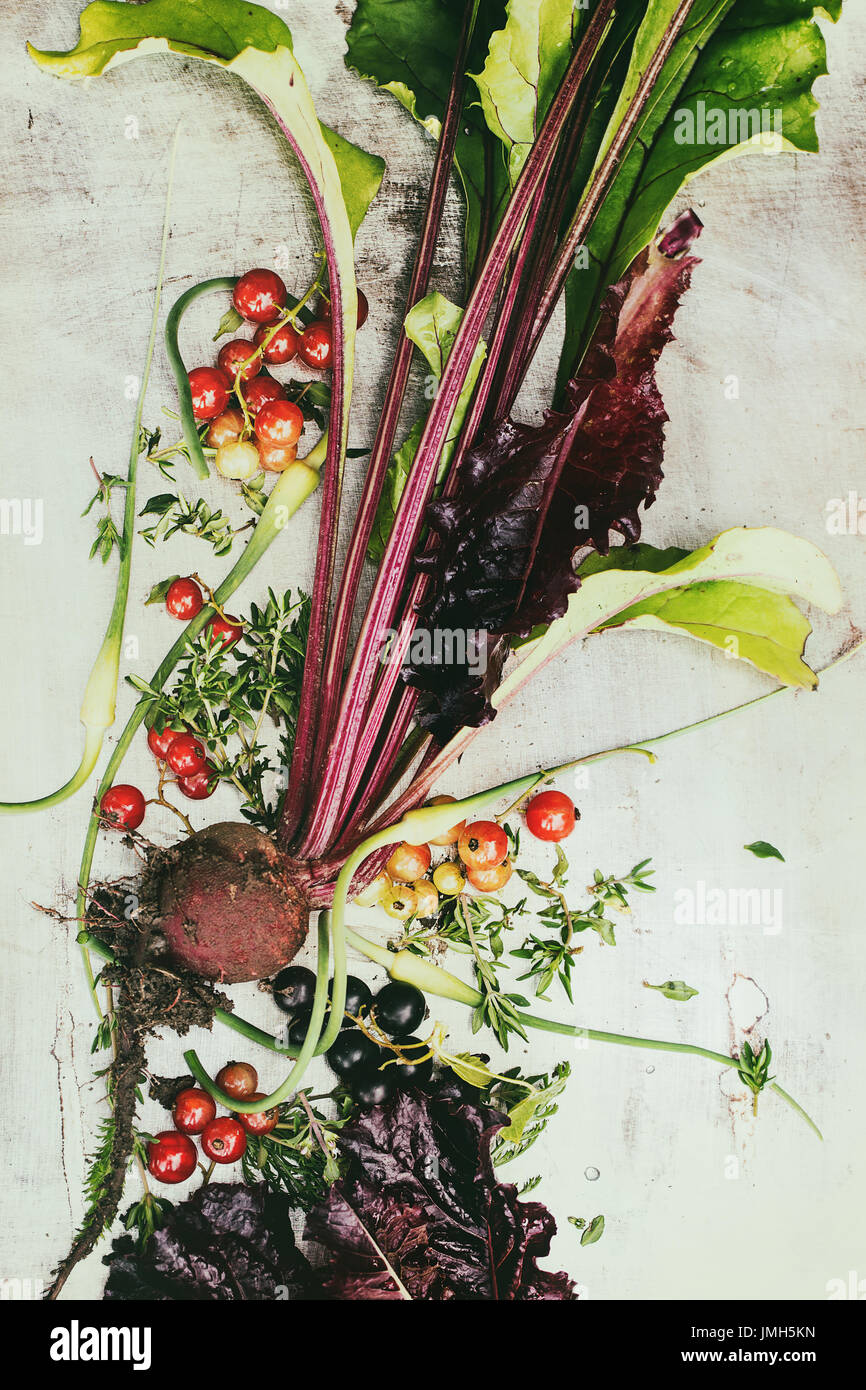 Variety of young vegetables Stock Photo Alamy