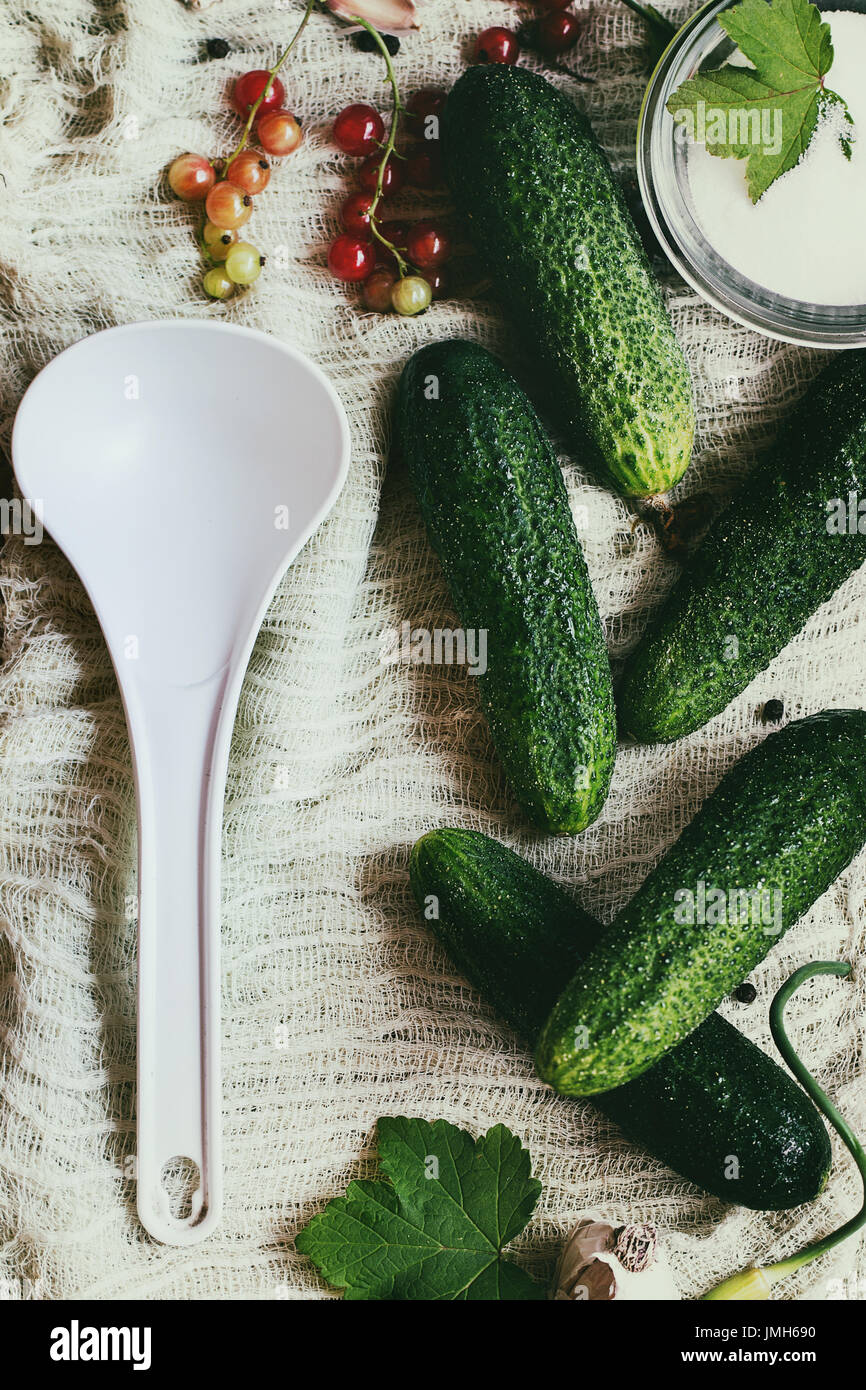 Fresh cucumbers prepared for pickling Stock Photo Alamy