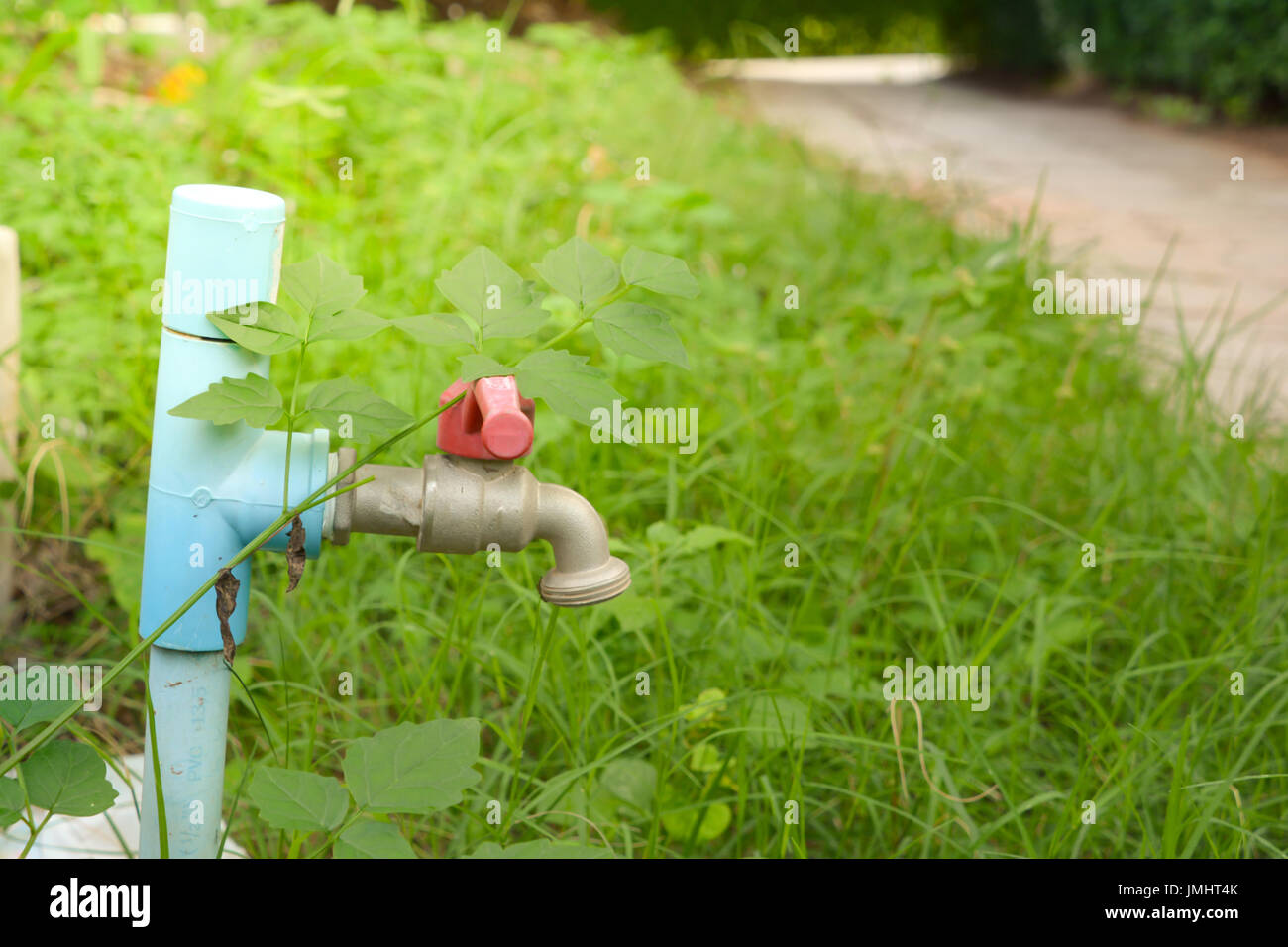 Faucet in garden Stock Photo Alamy