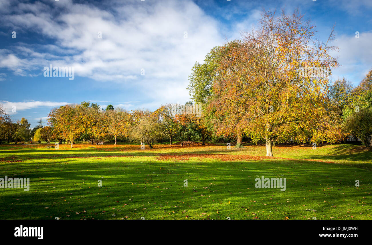 Natural golden shades and colours from the autumn trees dominate the ...