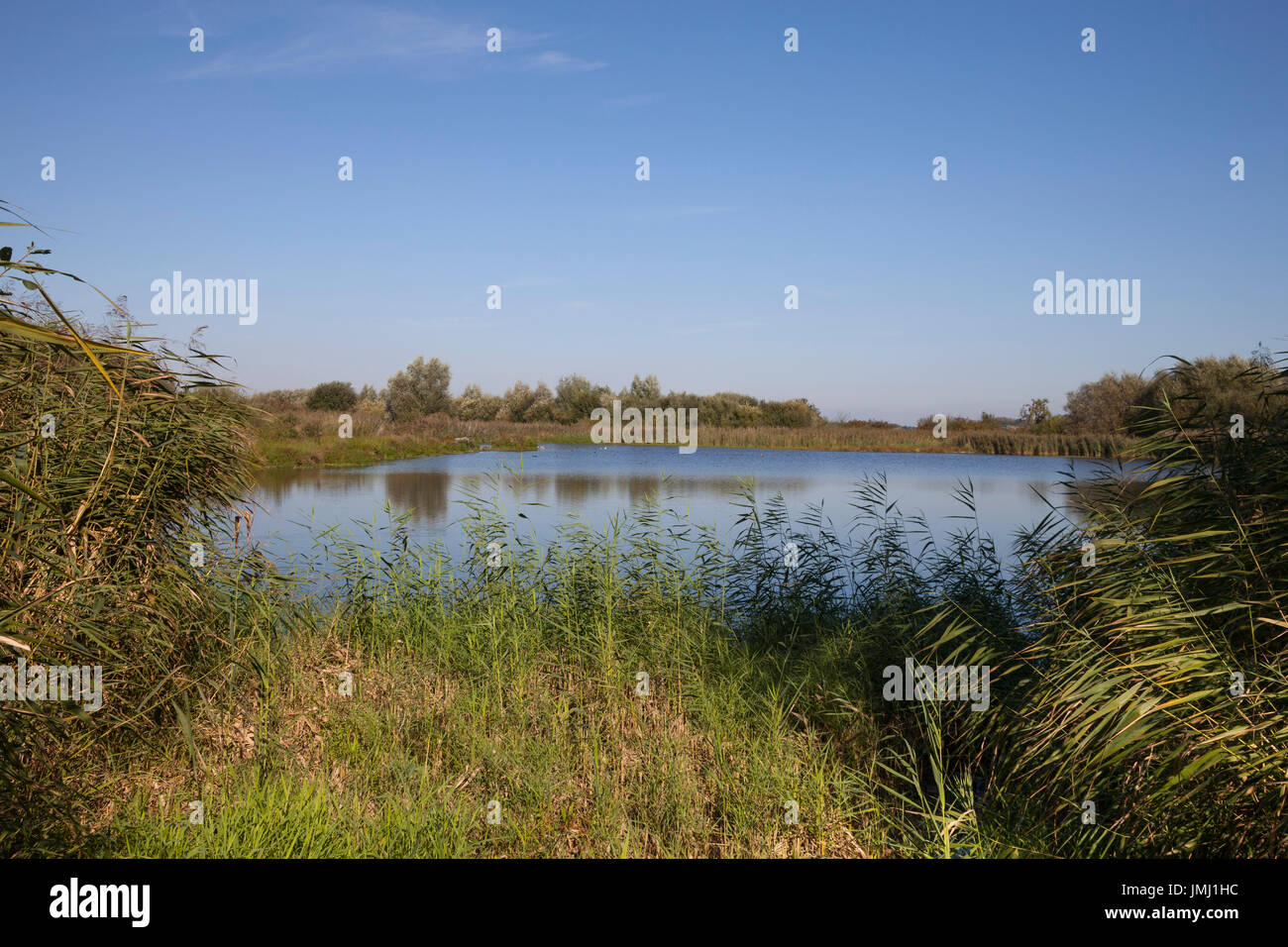 Lake at the sewage fields, Münsterland, North Rhine-Westphalia, Germany, Europe Stock Photo