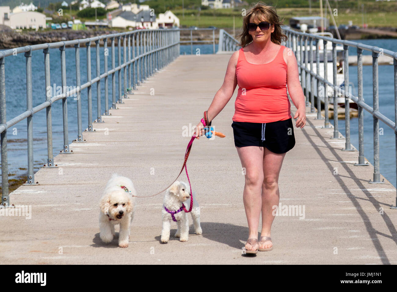 Woman walking two poodles, Knightstown, Valentia Island County Kerry, Ireland Stock Photo