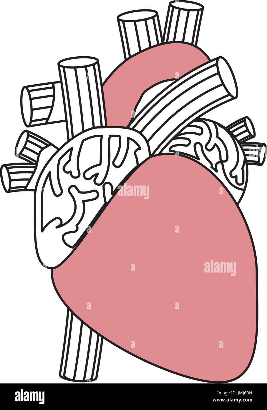 Human heart symbol over white background icon Stock Vector Image & Art ...
