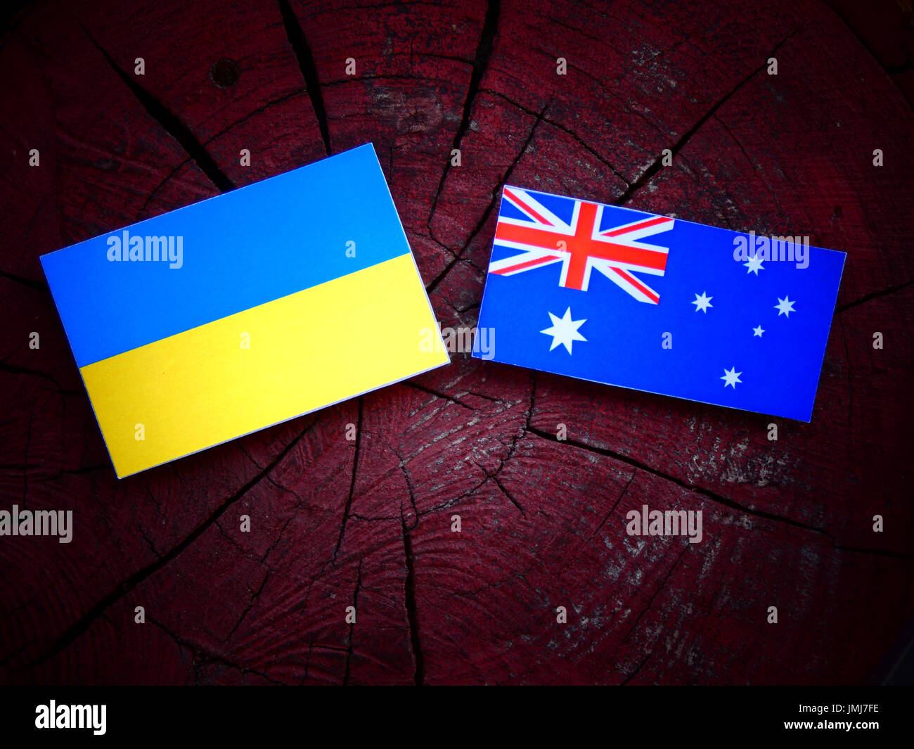 Ukraine flag with Australian flag on a tree stump isolated Stock Photo