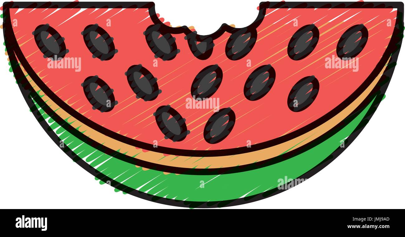 watermelon fruit icon over white background vector illustration Stock ...