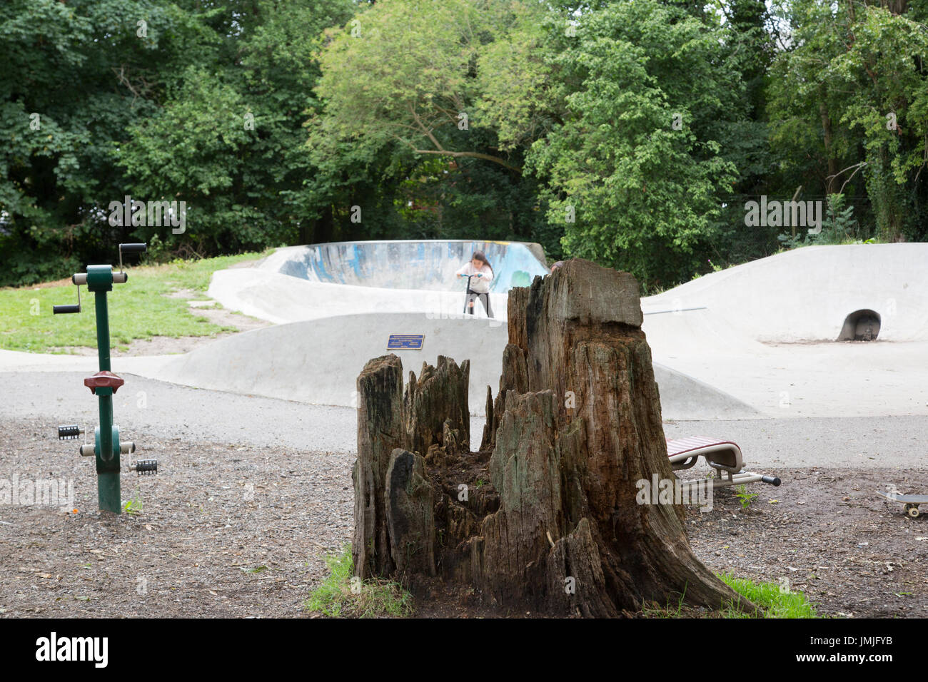 Forest row hires stock photography and images Alamy