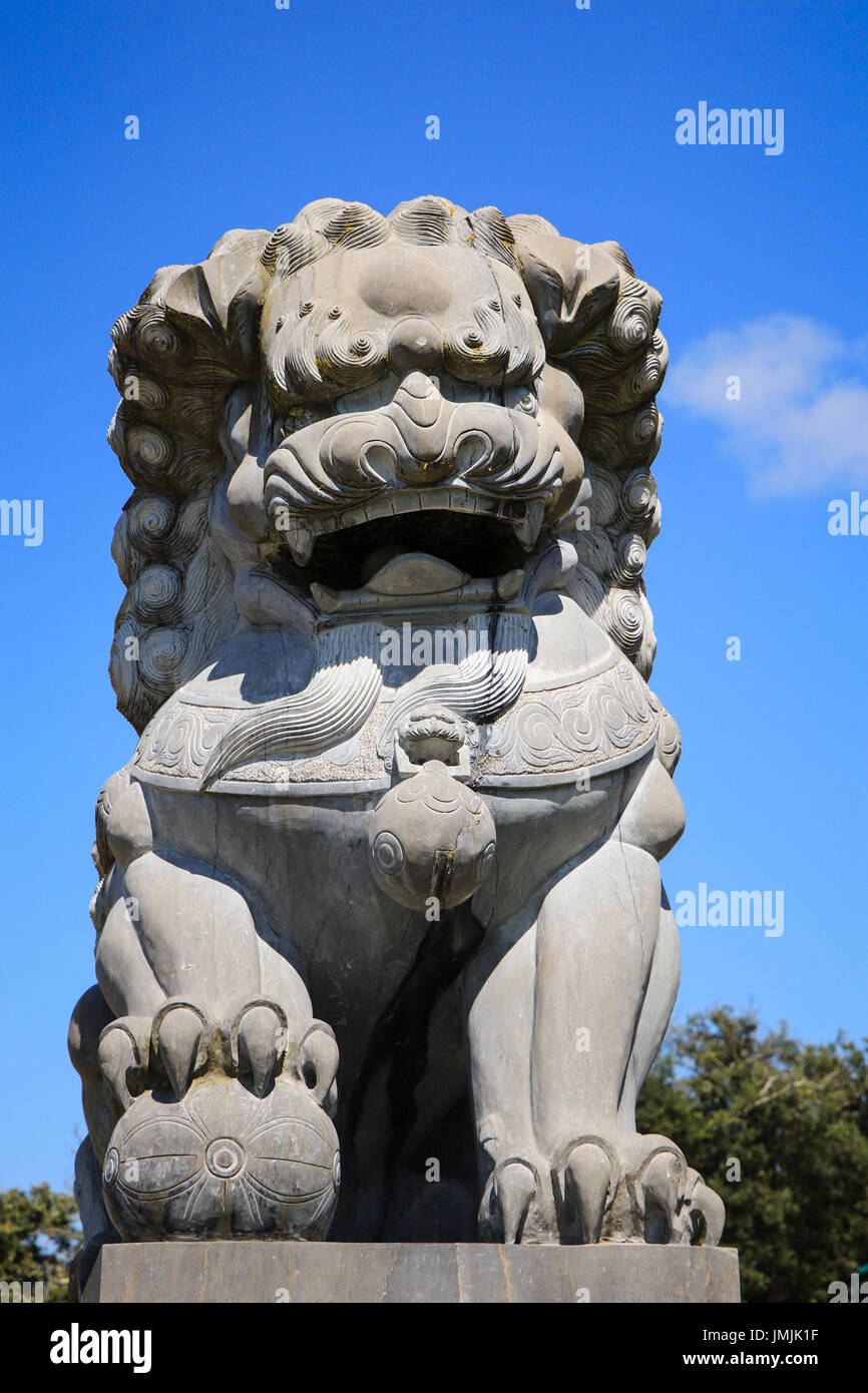 Chinese lion stone statue. Oriental statue Stock Photo Alamy