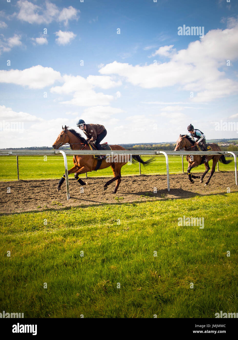 Thoroughbreds on Training Gallop at National Stud Stock Photo