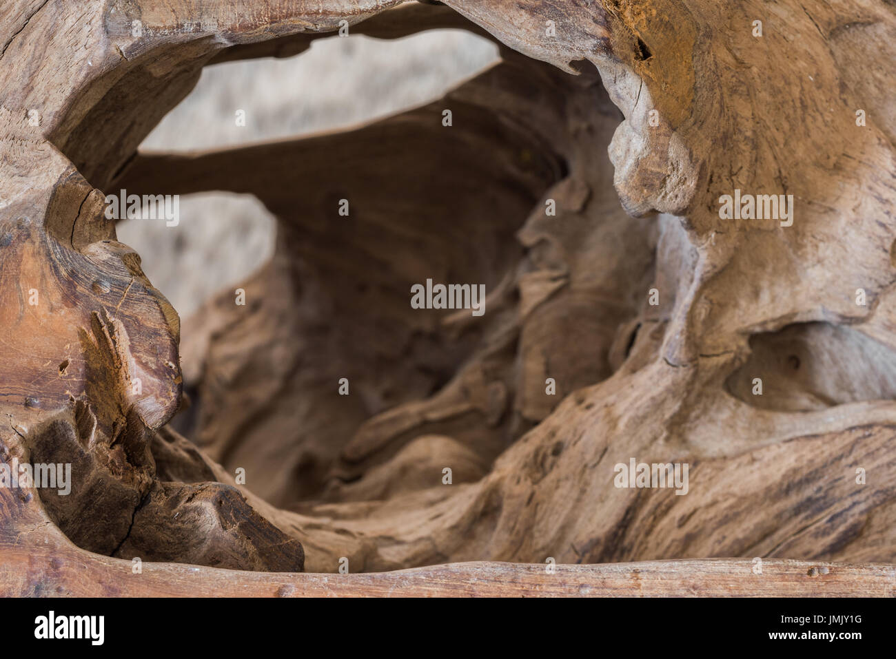 Eroded wood texture Stock Photo