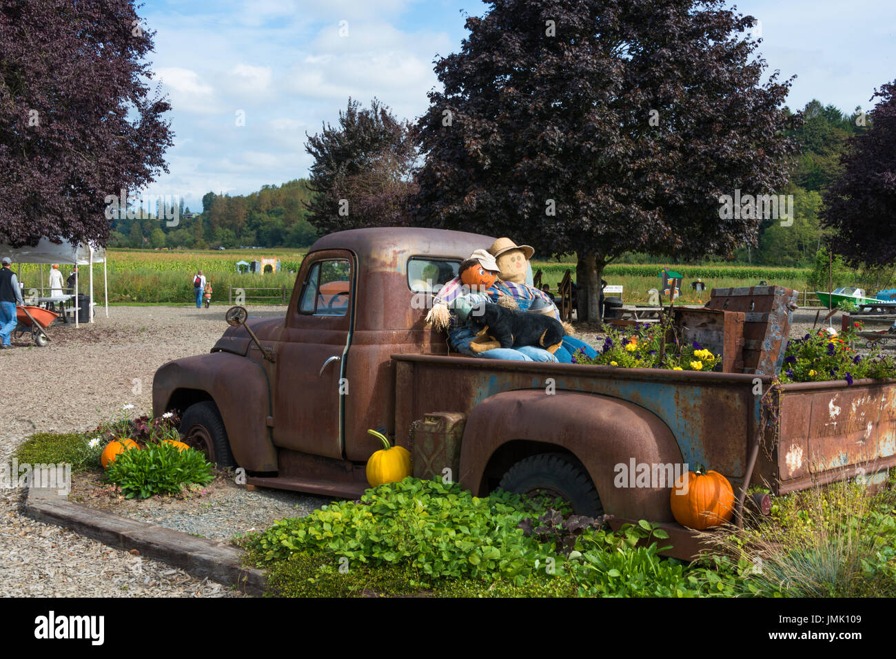 Fall Harvest Halloween Theme Display, Craven Farms, Snohomish, Washington Stock Photo