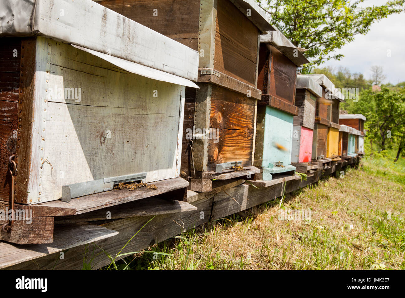 Hives in the apiary, bees ready for honey,spring season Stock Photo - Alamy