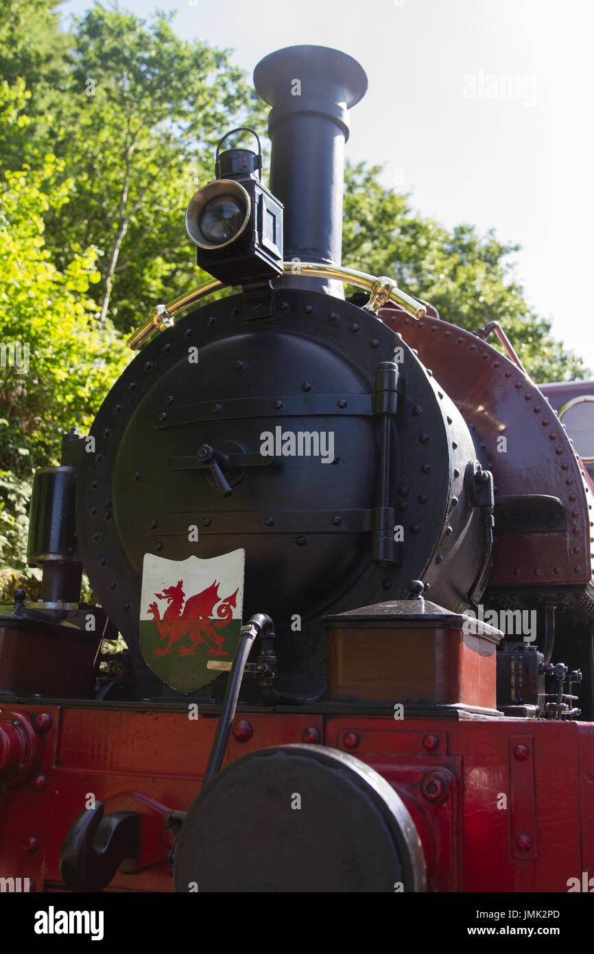 Talyllyn steam saddle tank locomotive showing headboard with Welsh Dragon and lamp on a sunshine day Stock Photo