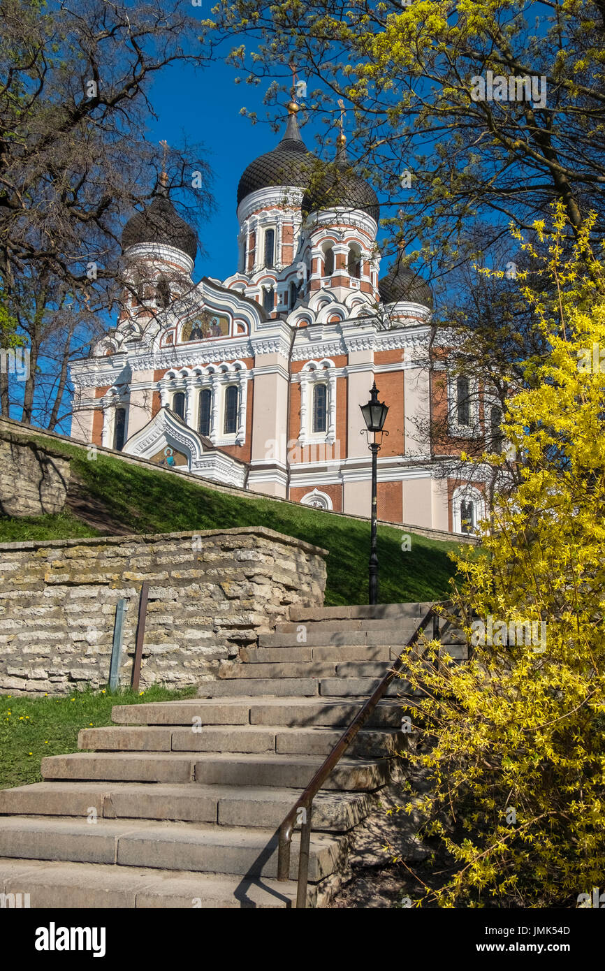 Russian Orthodox Cathedral Alexander Nevsky in Tallinn. Estonia, Europe Stock Photo
