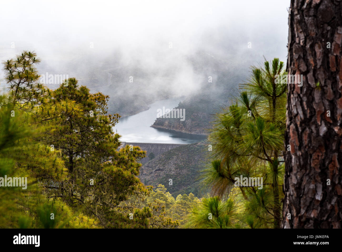View of the dam of Hoyas, Presa de las Hoyas, from the Tamadaba Forest, Gran Canaria, Canary islands Stock Photo