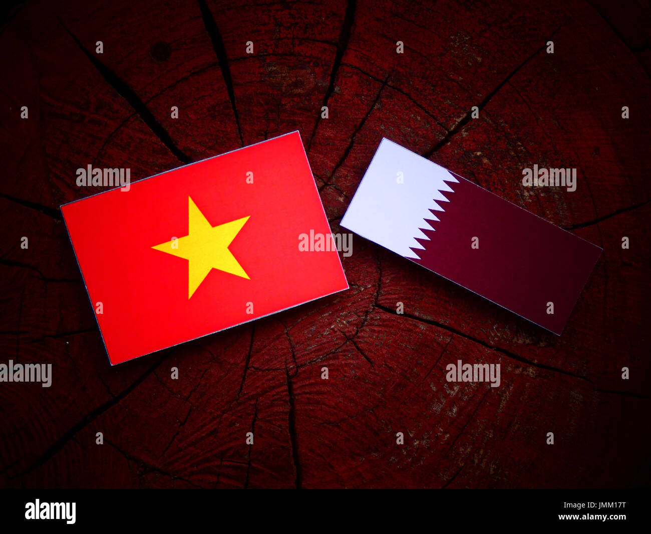 Vietnamese flag with Qatari flag on a tree stump isolated Stock Photo ...