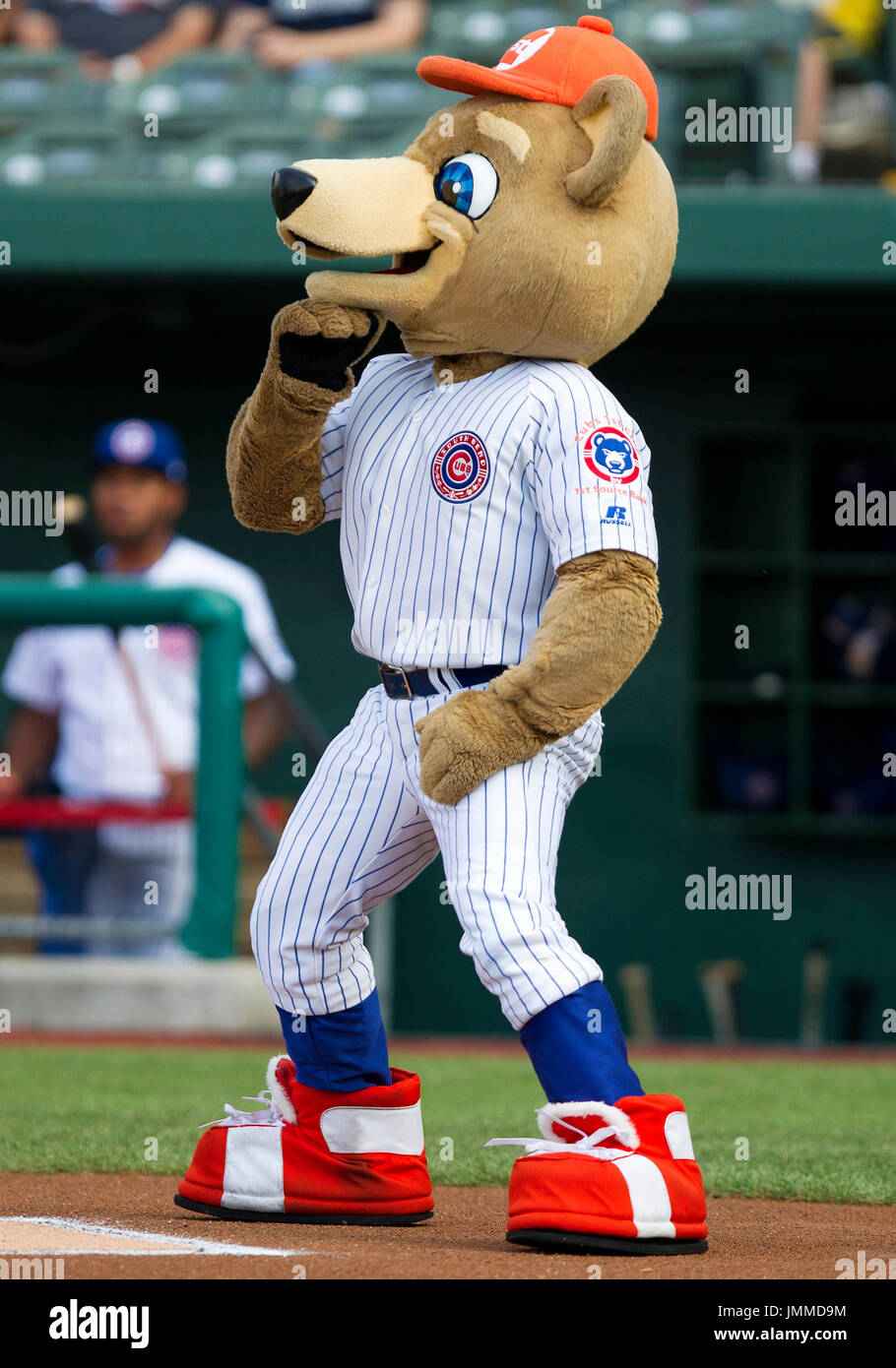 South Bend, Indiana, USA. 27th July, 2017. South Bend Cubs mascot Stu  during MILB game action between the South Bend Cubs and the Lake County  Captains at Four Winds Field in South