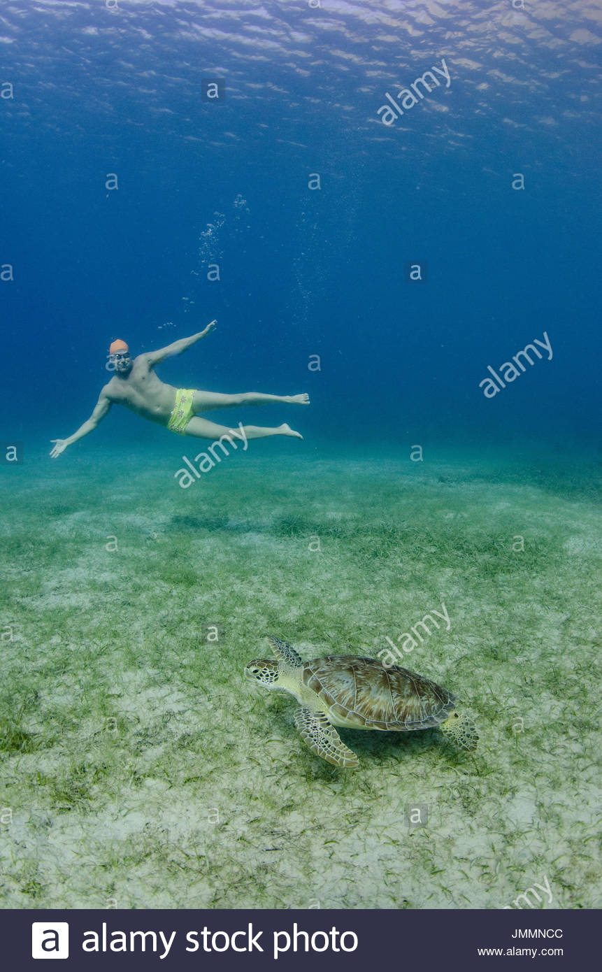 Yellow Bathing Suit Stock Photos & Yellow Bathing Suit Stock Images Alamy