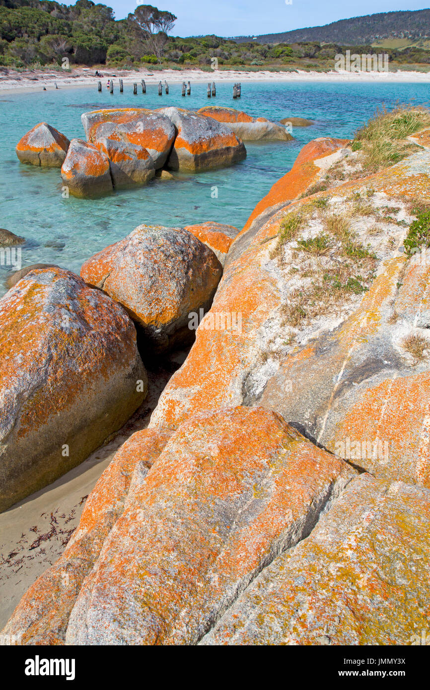 Flinders Island