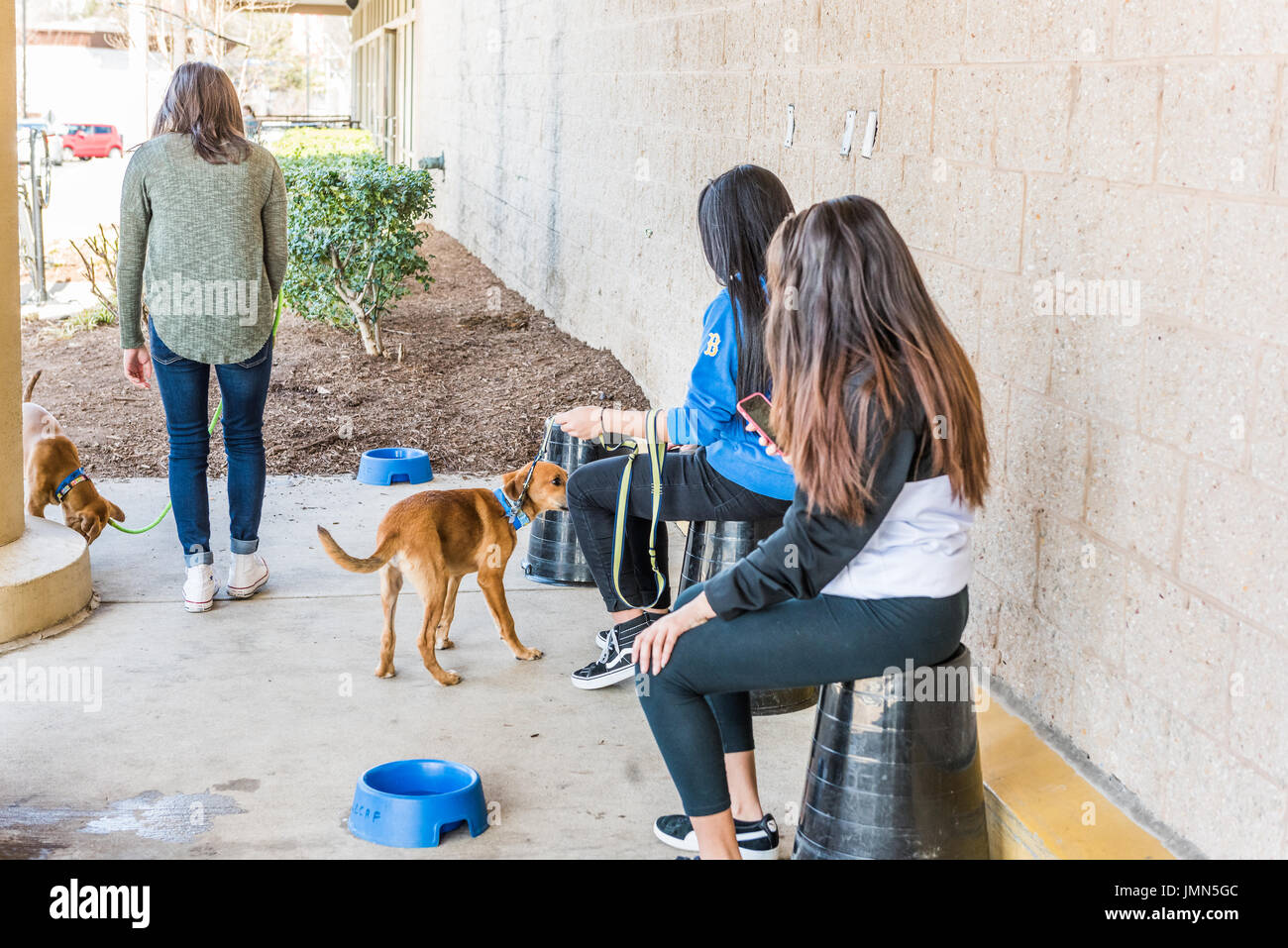 Petsmart hires stock photography and images Alamy