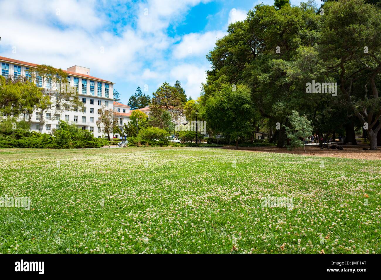 Field of flowers in front of an academic building on a sunny day, at the University of California Berkeley (UC Berkeley), a university in Berkeley, California, July 2, 2017. Stock Photo