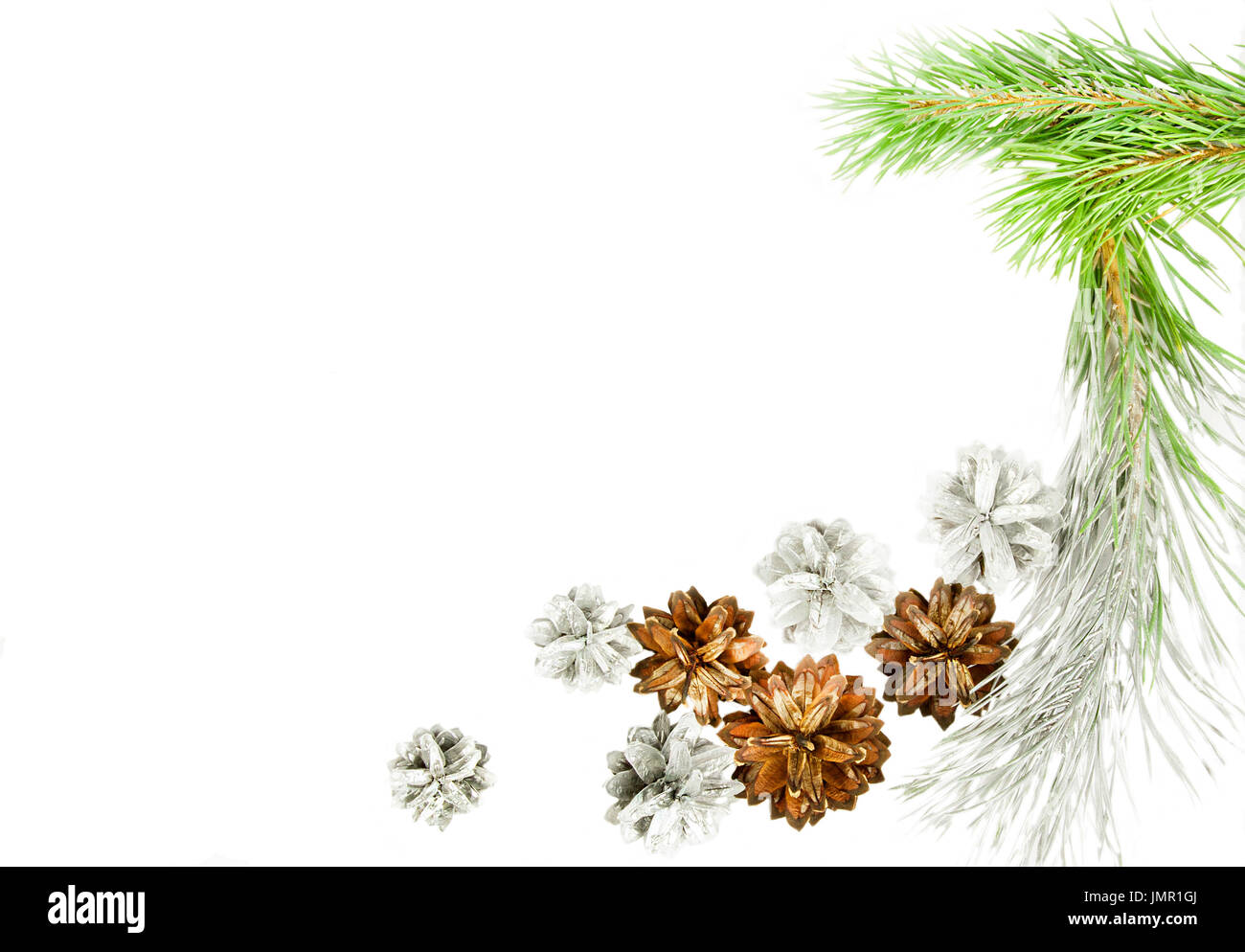 Green spruce twig with cones isolated on white Stock Photo