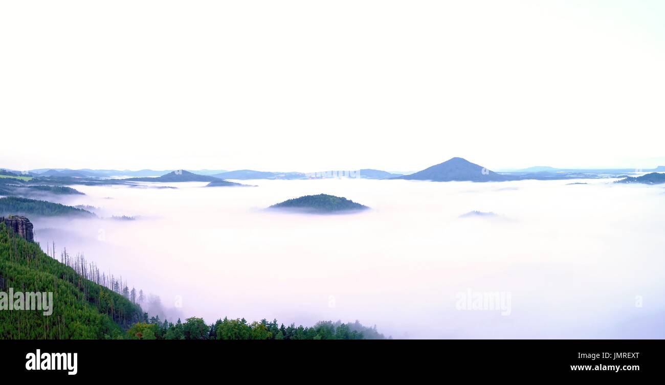 Heavy Mist Magnificent heavy mist in landscape. Autumn creamy fog in countryside ...