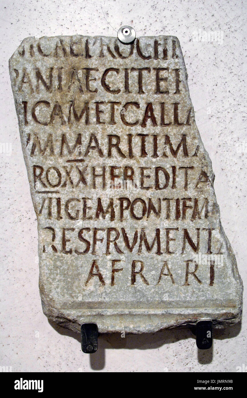 Praefectus annonae (Prefect of the Provisions). Roman imperial offficial charged with the supervision of the grain supply to the city of Rome. The inscription, base on the reconstruction of an ancient manuscript, was placed for the prefect C. iunius Favianus, from the African wheat and oil traders (afrari), into the statio annonae. National Roman Museum (Baths of Diocletian). Rome, Italy. Stock Photo