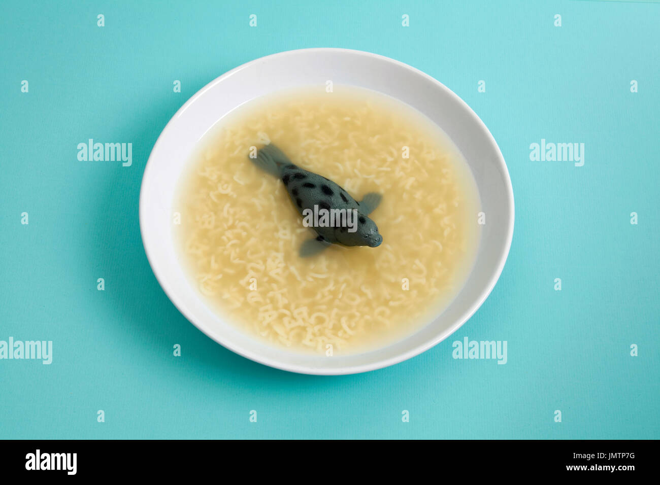a sea lion animal swiming in a broth with Alphabet pasta. Quirky, funny and minimal color still life photography Stock Photo