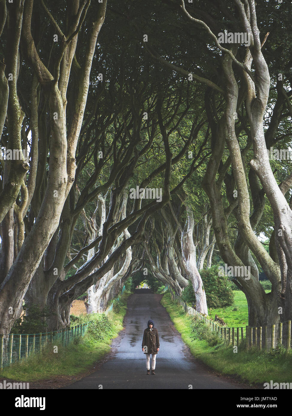 Girl standing alone in the middle of the street of the famous Dark Hedges, Northern Ireland, UK Stock Photo