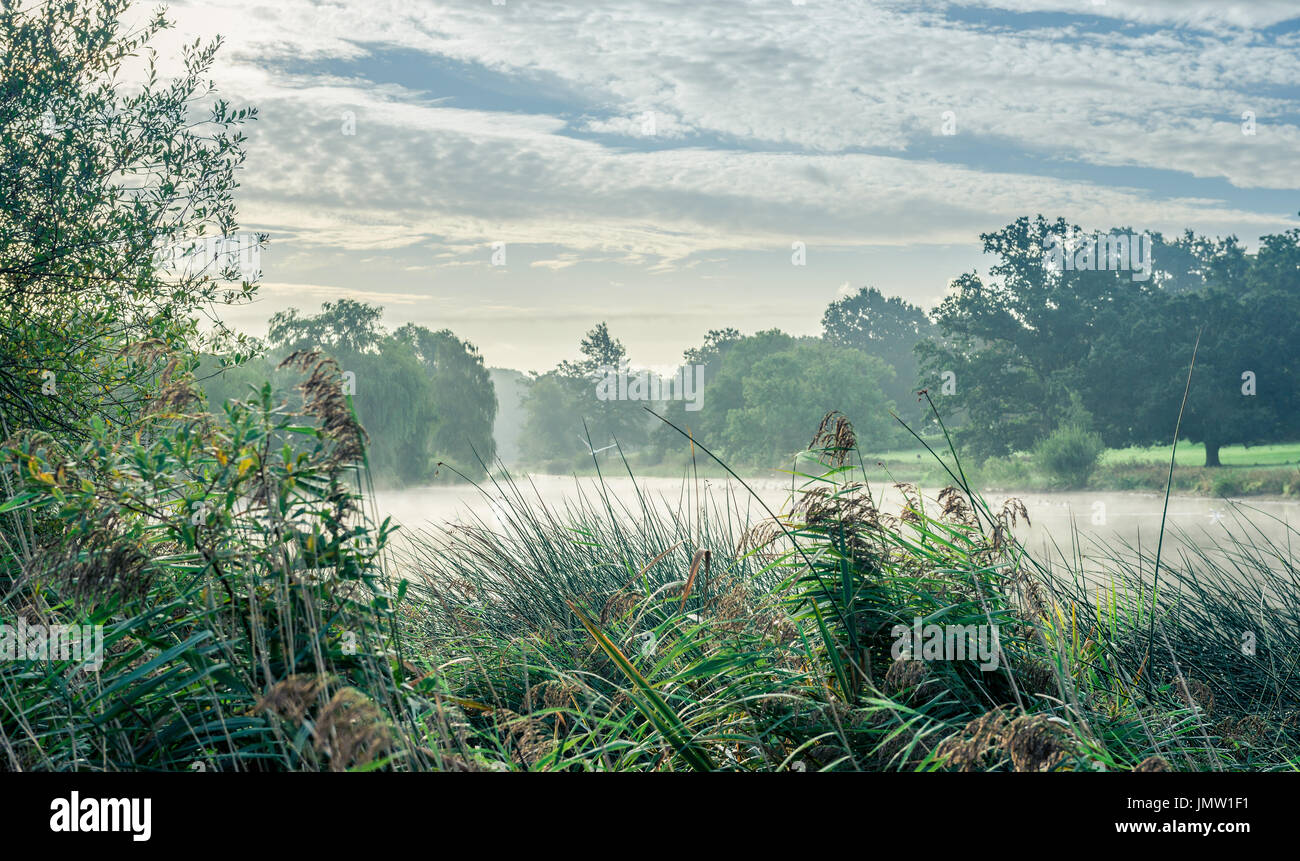 The River Welland flowing through the parkland of Burghley House