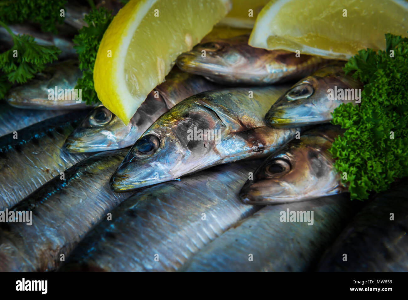 Sardines. Stock Photo