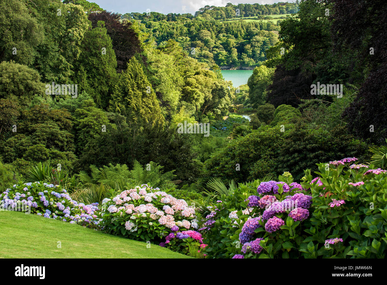 The sub-Tropical Trebah Garden in Cornwall. Stock Photo