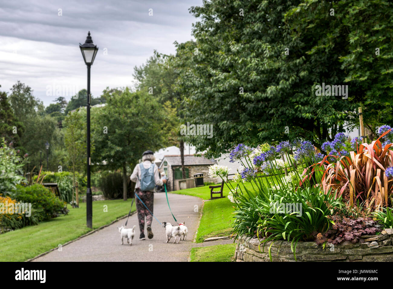 Trenance Gardens in Newquay, Cornwall. Stock Photo