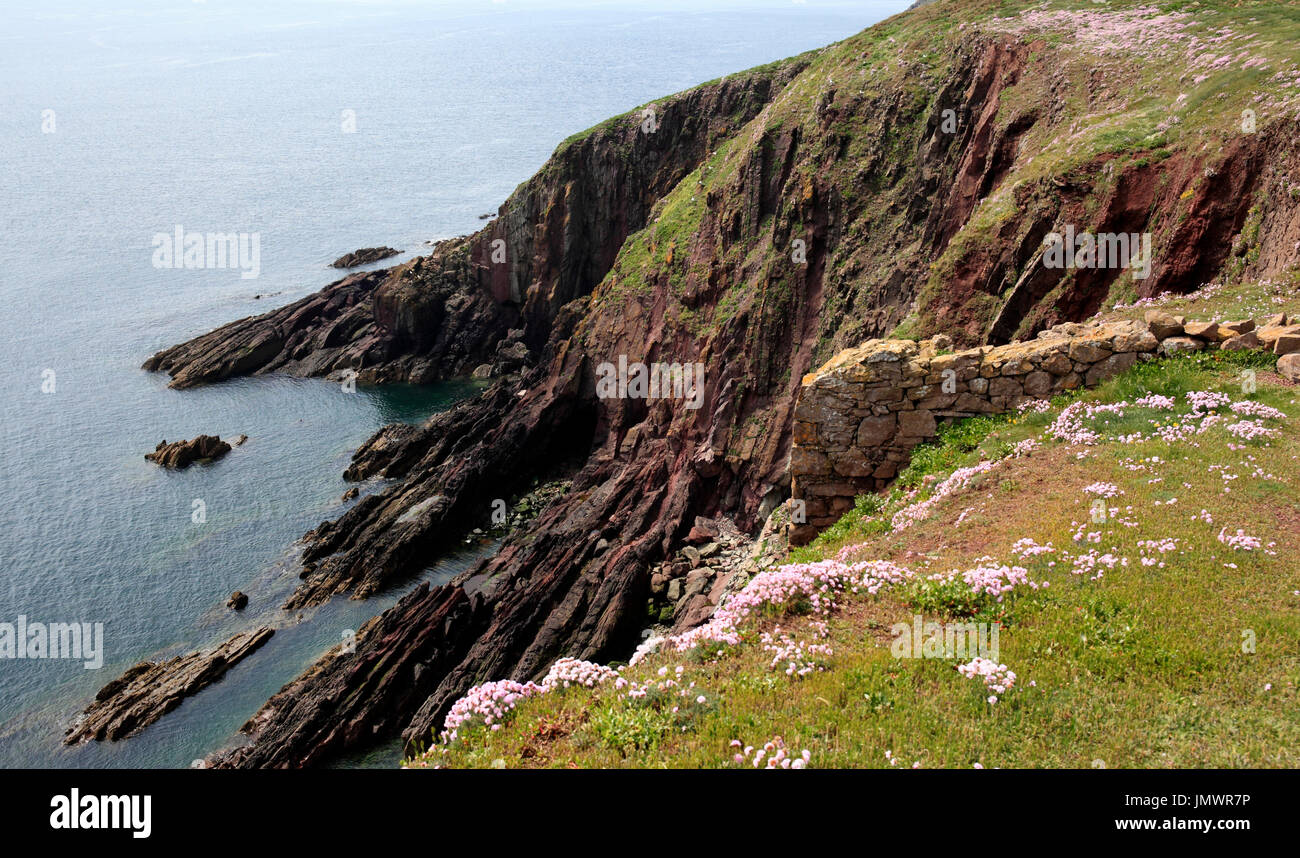 Caldey Island, Pembrokeshire, Wales, Europe Stock Photo