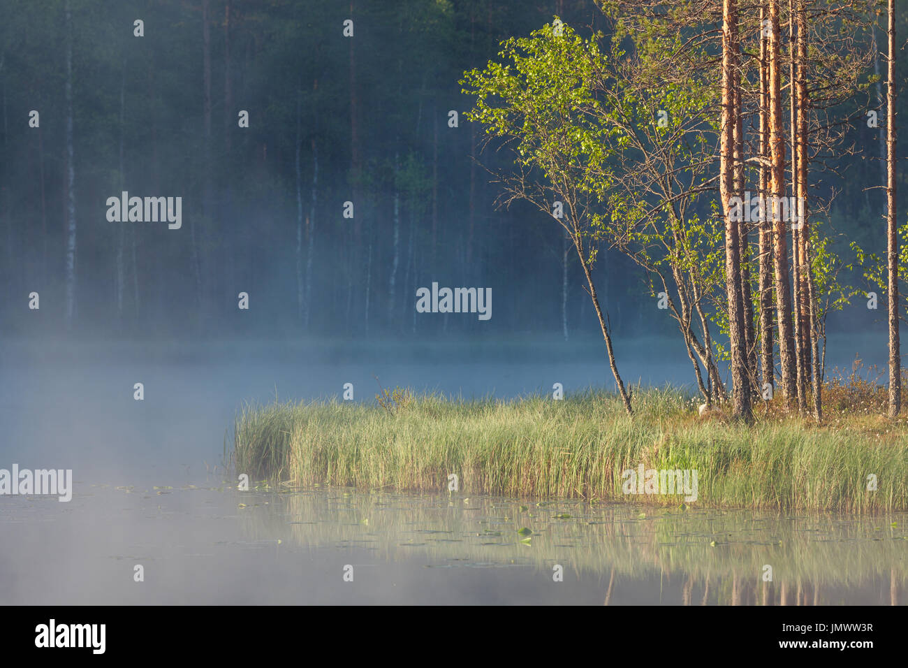 Serene forest small pond hi-res stock photography and images - Alamy