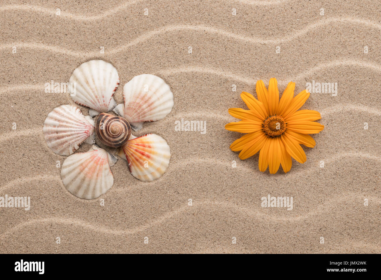 Yellow daisy and chamomile made from seashells lying on dunes. View ...