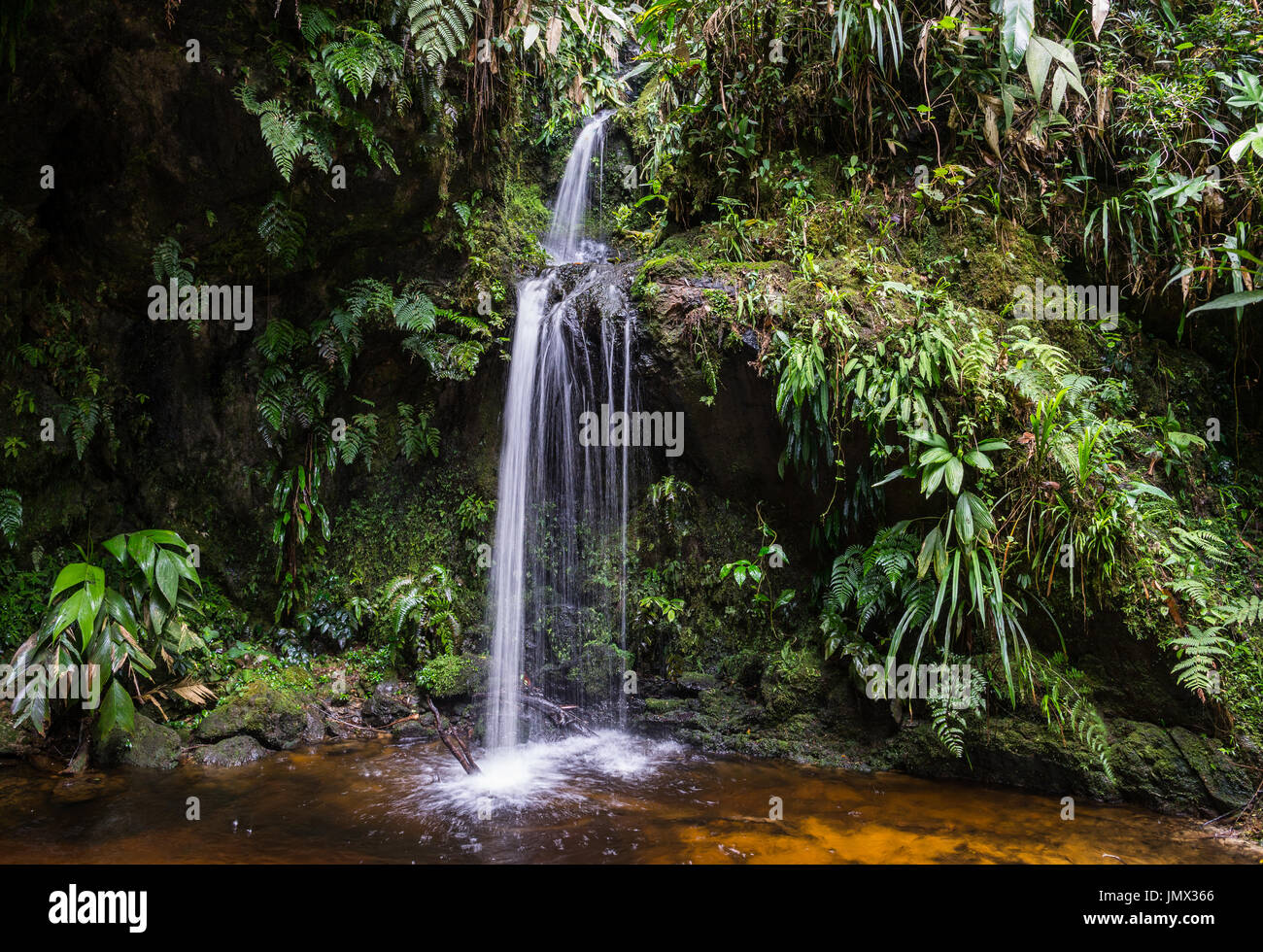 Waterfall in the lush green Cloud-forest of Andes Mountains. Colombia, South America. Stock Photo