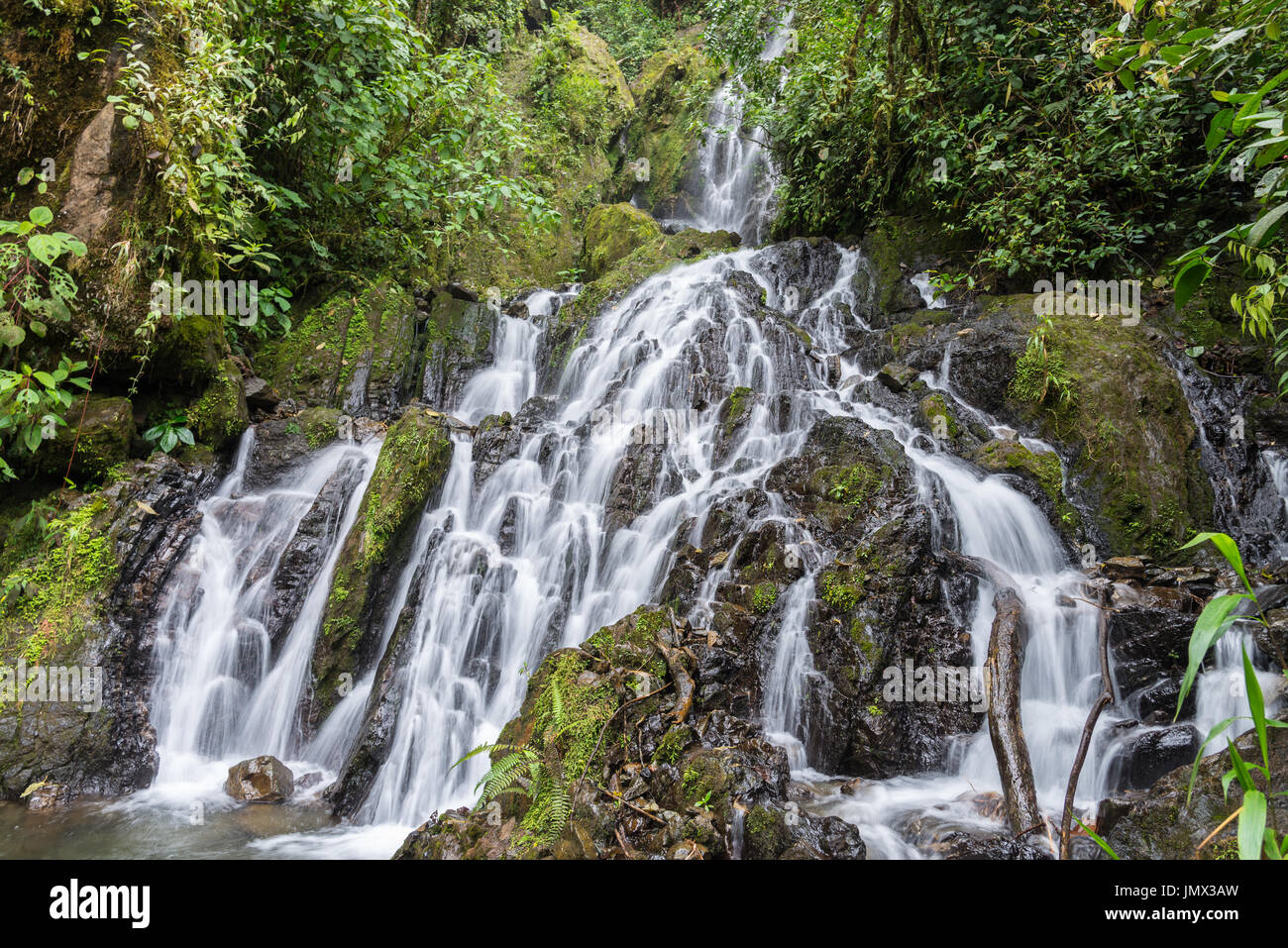 Cascades in the lush green of Andes Mountains. Colombia, South America. Stock Photo