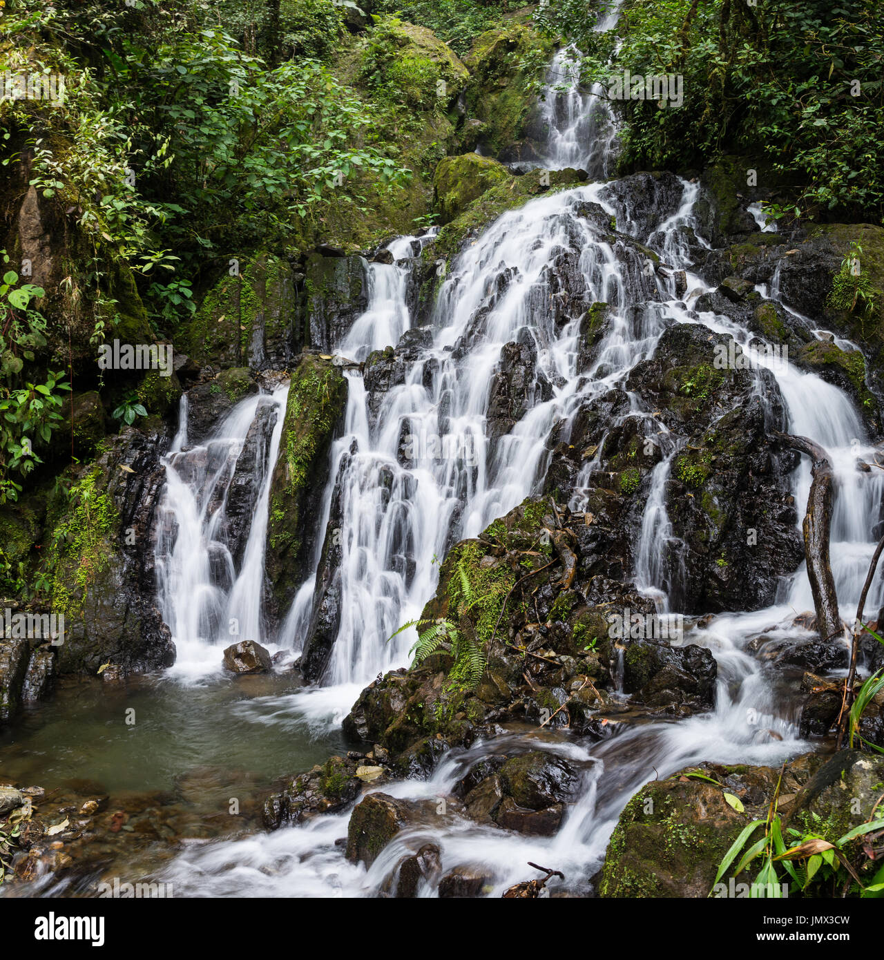 Cascades in the lush green of Andes Mountains. Colombia, South America. Stock Photo