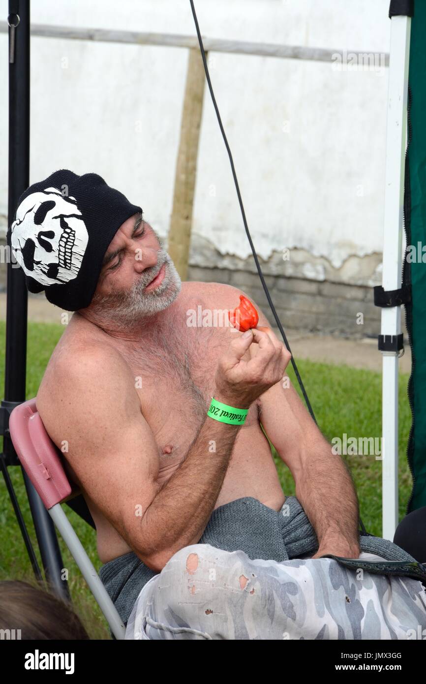 male contestant eating a Chilli at a Chilli Festival Gower chilli Feastival Glamorgan Wales Cymru UK GB Stock Photo