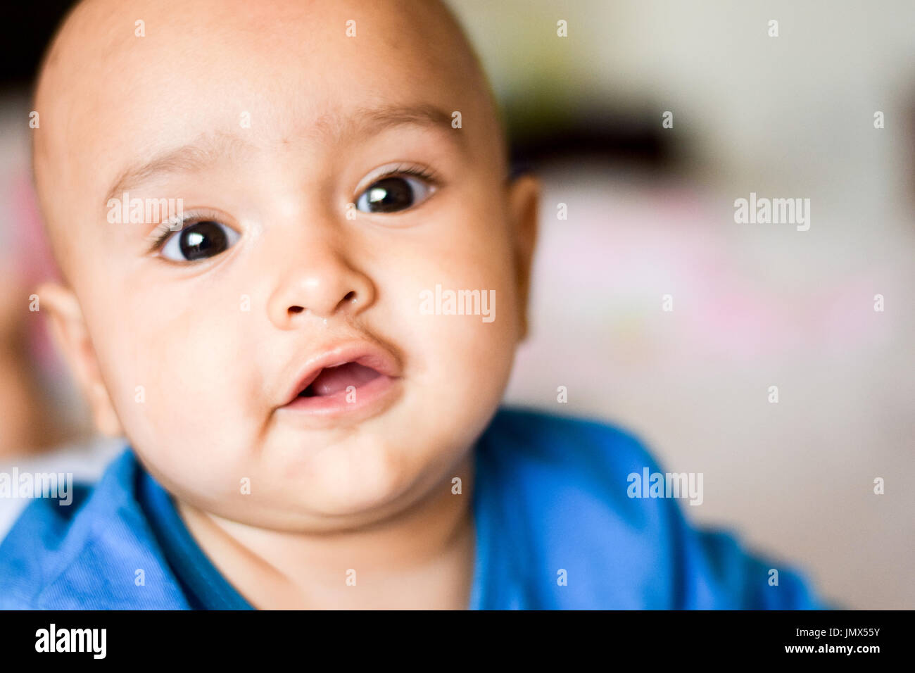 7 months old baby looking into camera Stock Photo