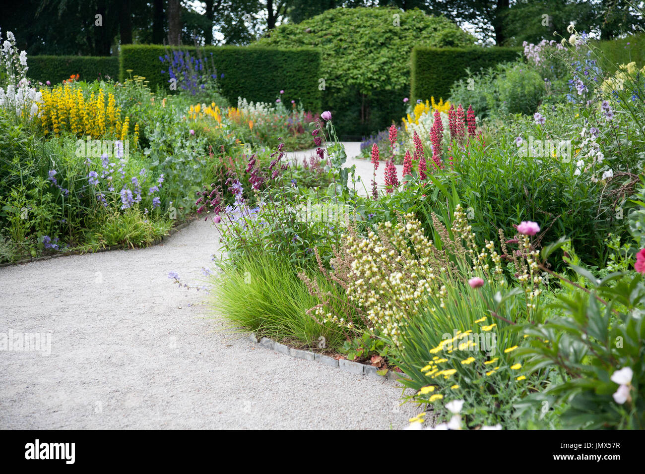 English Herbaceous Garden Border Stock Photo - Alamy