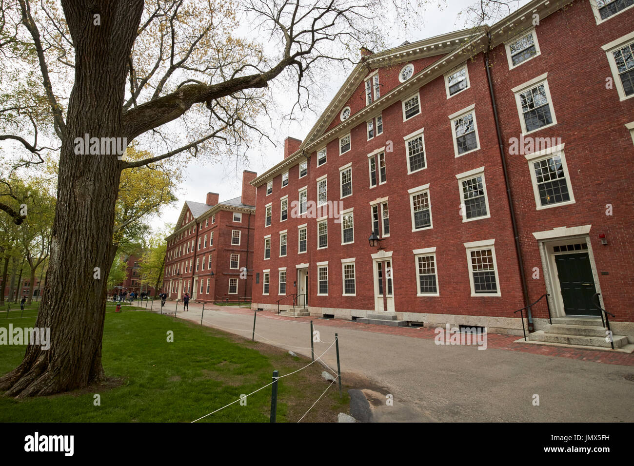 Stoughton hall and hollis hall dormitories on the old yard harvard