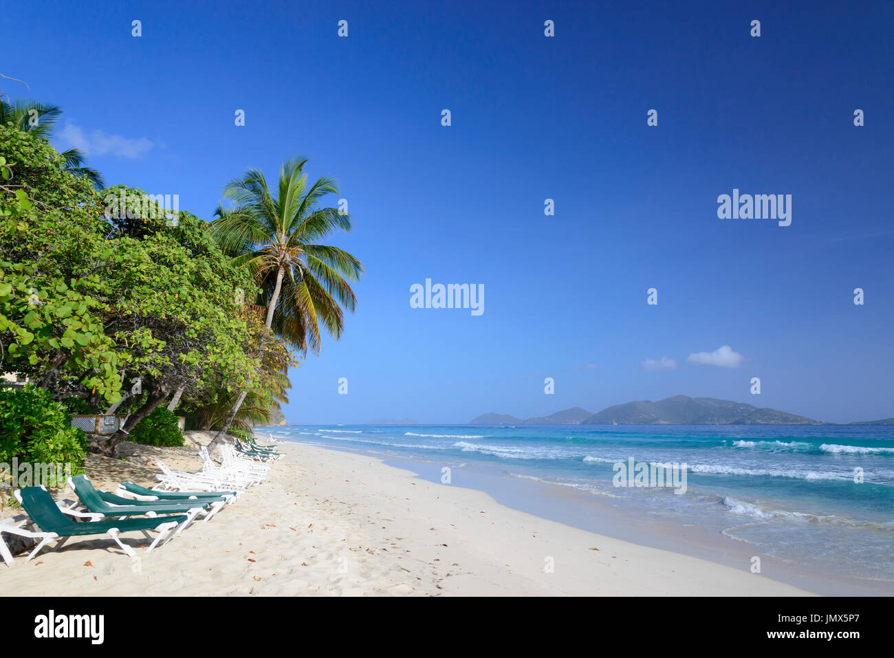 Sandy Beach and Palm Tree, Tortola Island, British Virgin Islands, Caribbean Sea Stock Photo