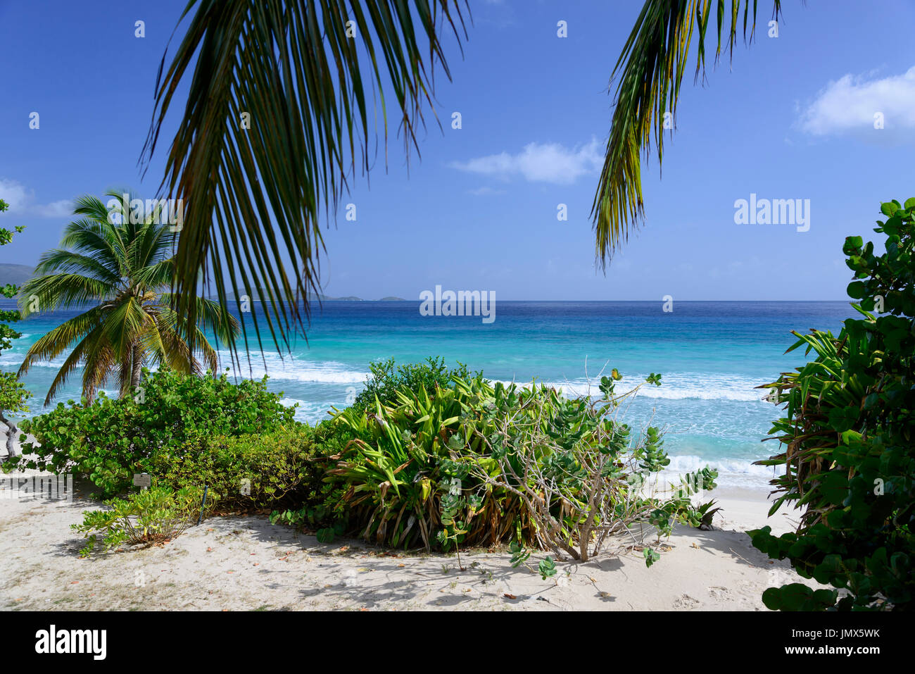 Beach at Long Bay Beach Club, Tortola Island, British Virgin Islands, Caribbean Sea Stock Photo