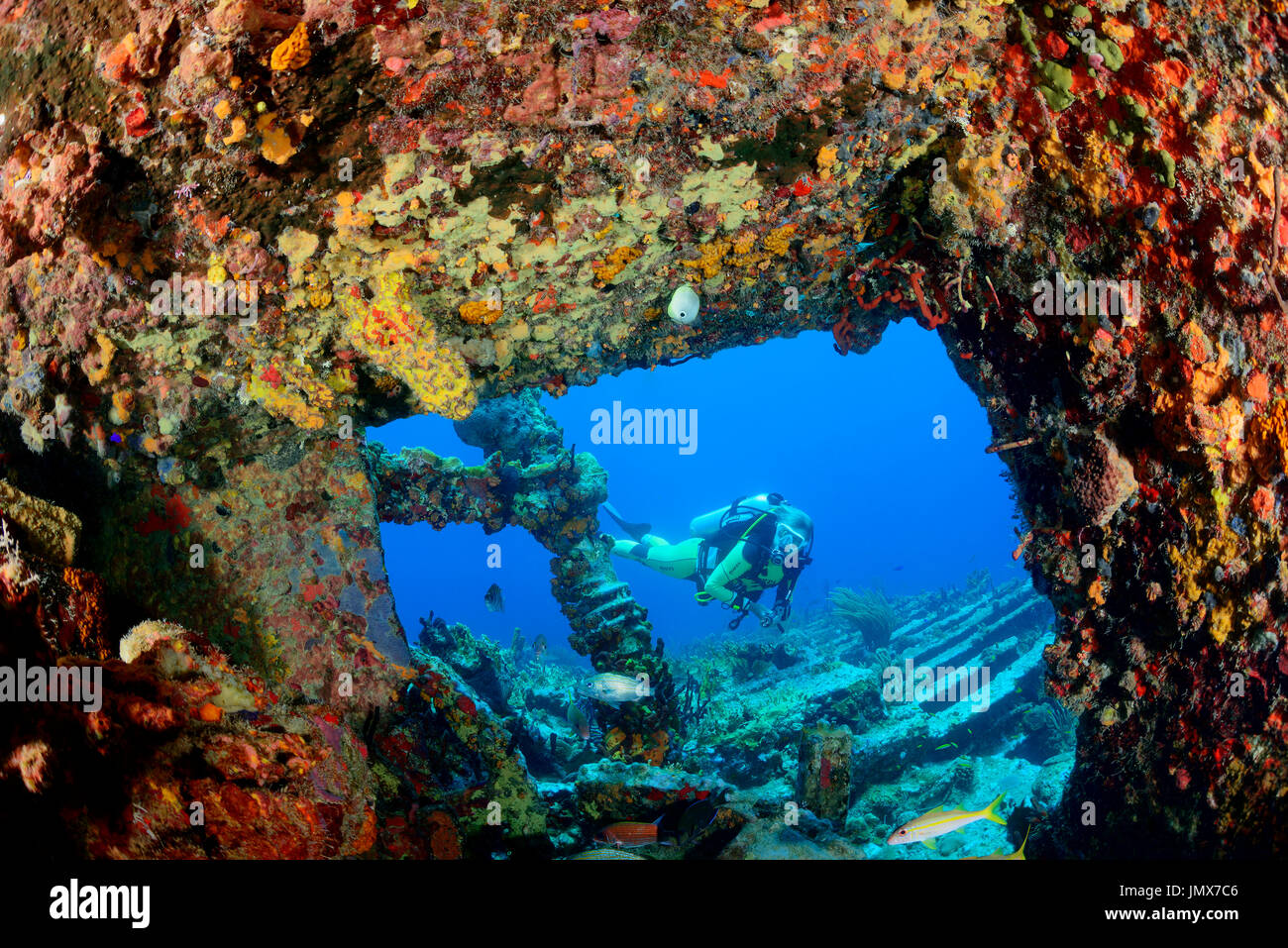 Shipreck Rhone and scuba diver, Virgin Gorda Island, British Virgin