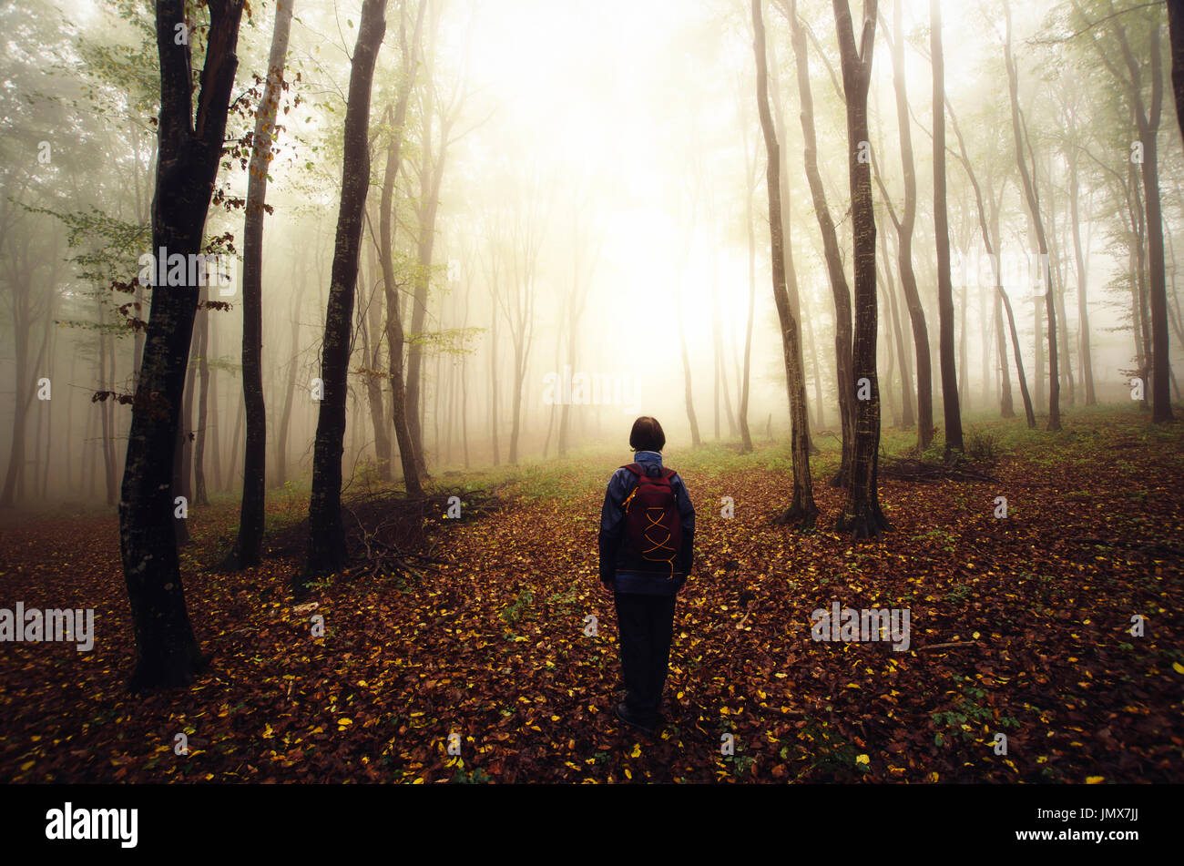 man hiking in autumn forest on rainy weather Stock Photo
