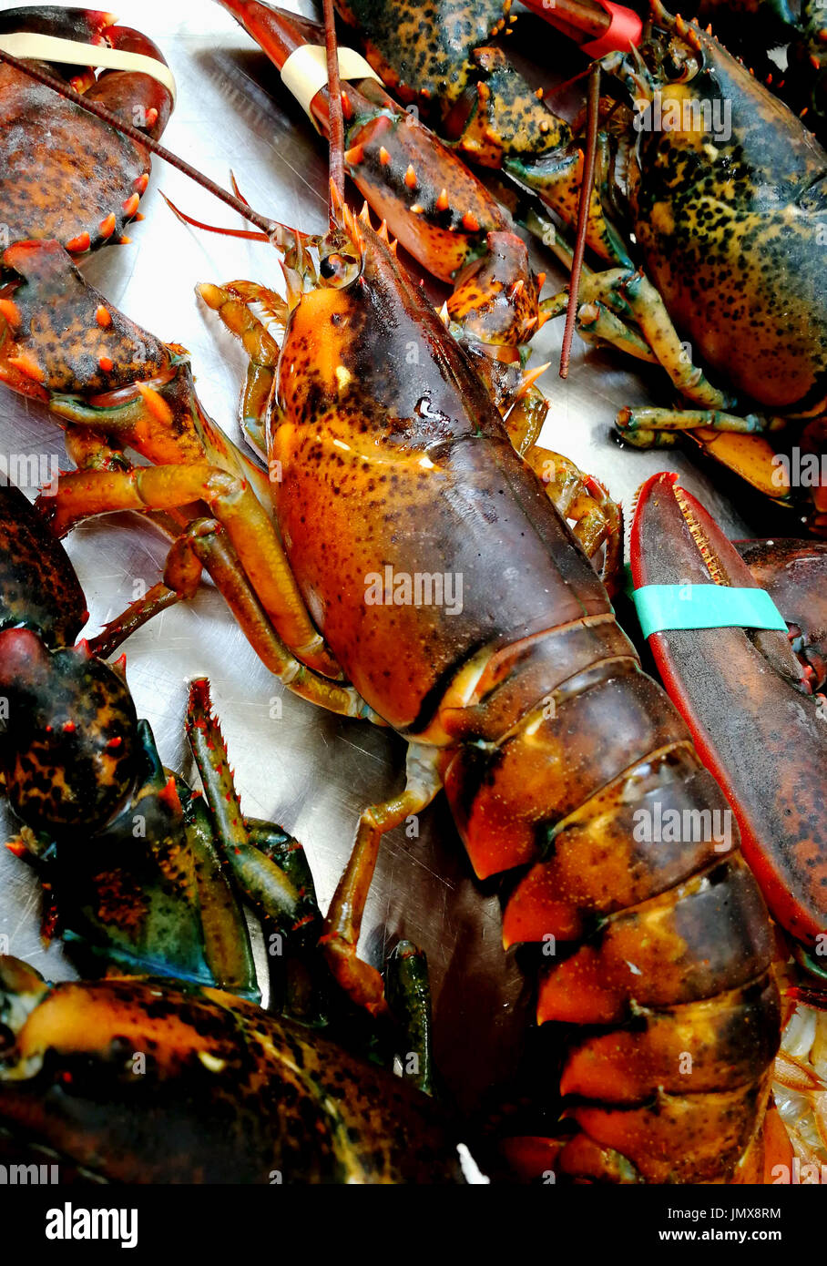 Live lobster in the market Stock Photo Alamy